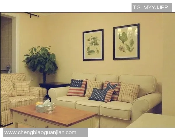 打造舒适宜居空间的秘诀 以家具选择和布局为核心的家居设计指南